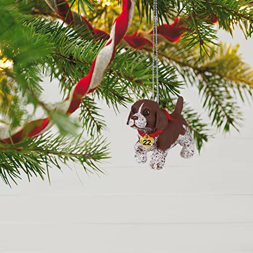 Hallmark Keepsake Christmas Ornament 2022 Year - Dated, Puppy Love German Shorthaired Pointer