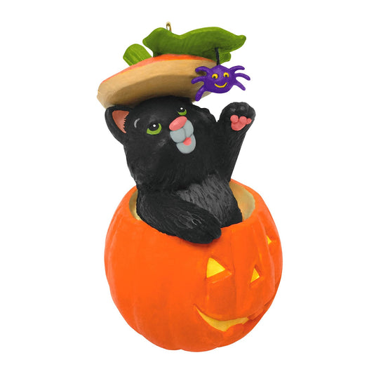 Hallmark Keepsake Halloween Ornament 2021, Mischievous Kittens Black Cat Antics Special Edition