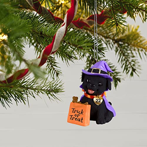 Hallmark Keepsake Halloween Ornament 2022 Year-Dated, Puppy Love Howl-O-Ween