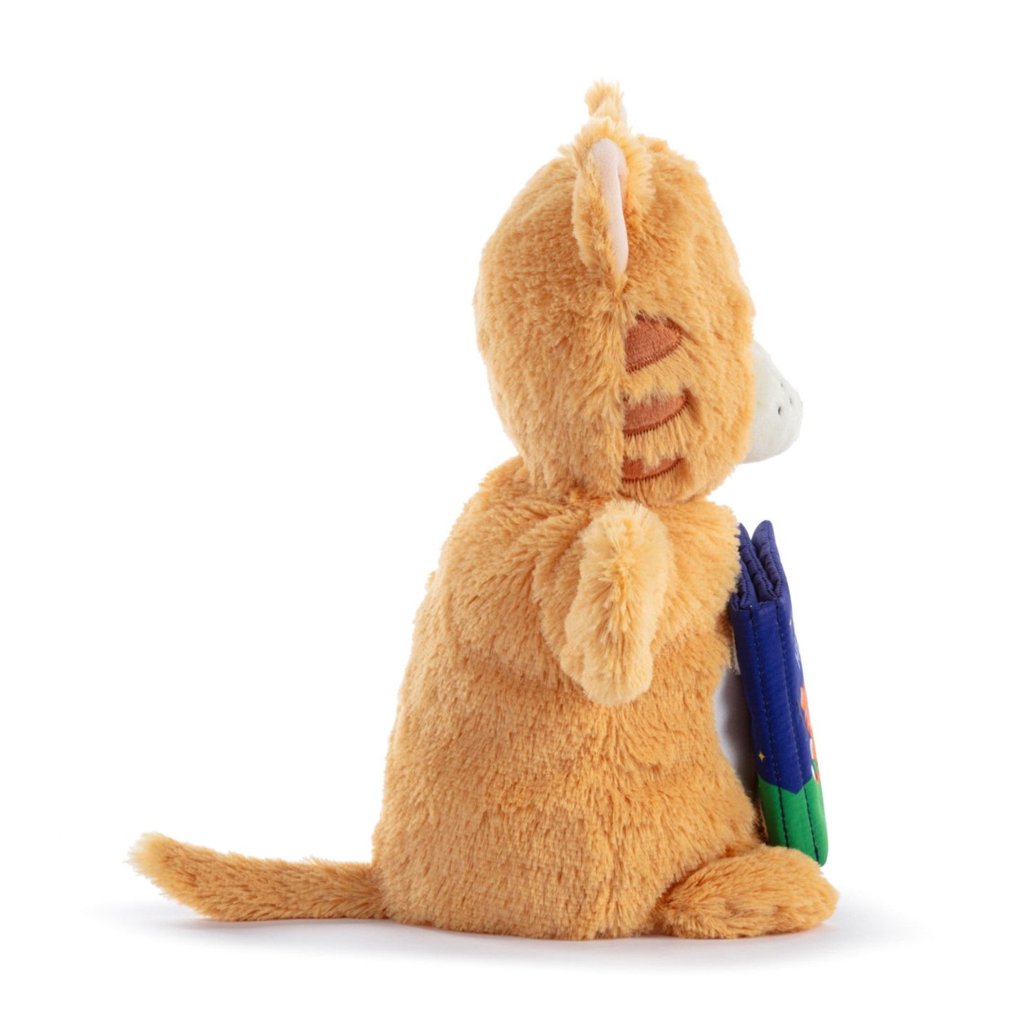 Hey Diddle Diddle Puppet Book