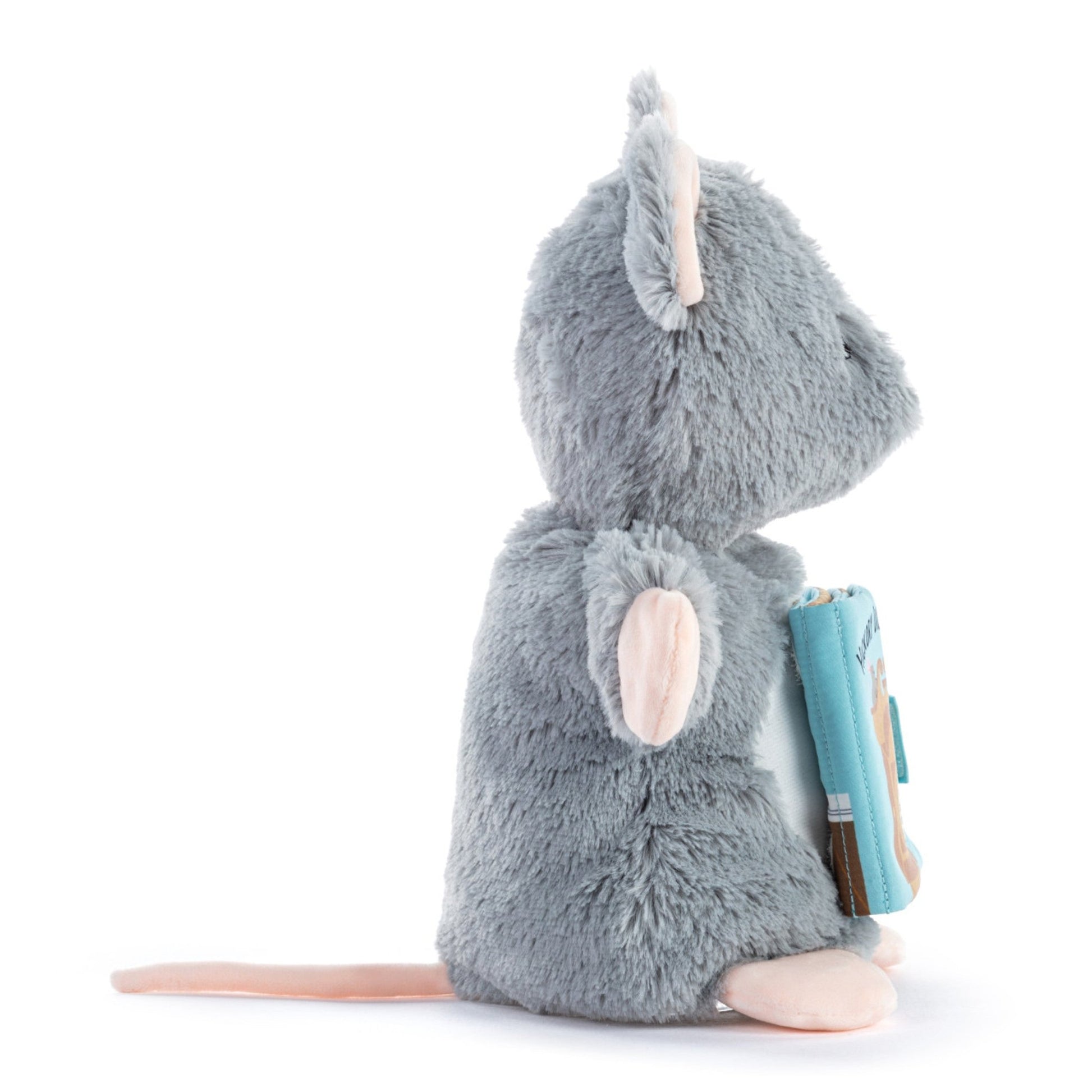 Hickory Dickery Dock Puppet Book