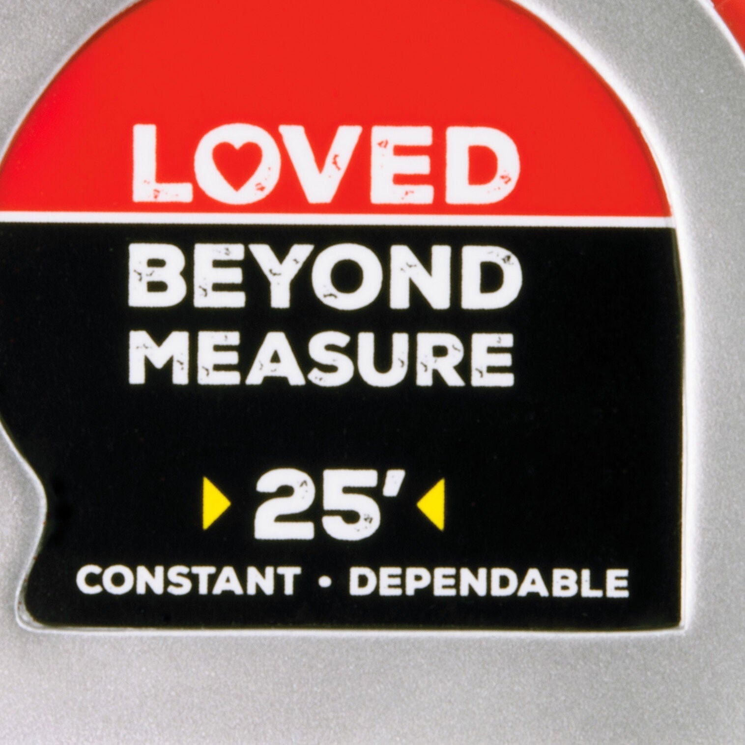 Loved Beyond Measure Hallmark Ornament