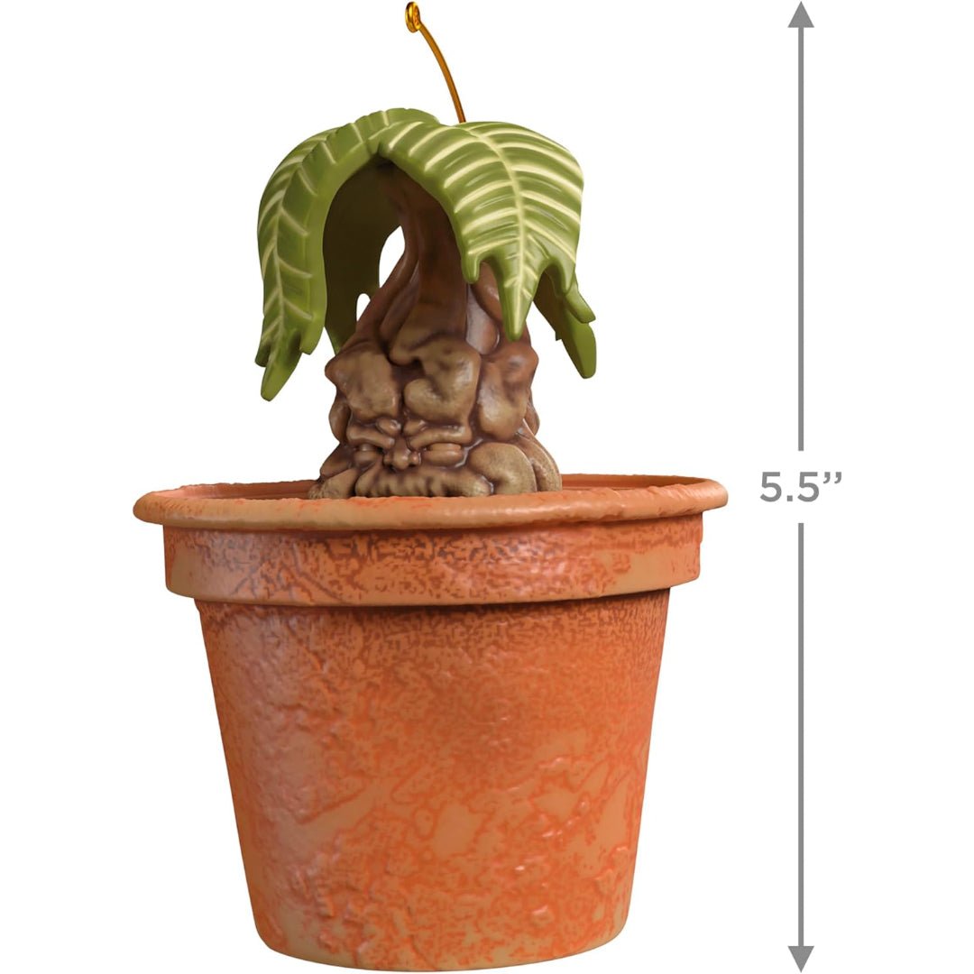 Mandrake Harry Potter 2025 Keepsake Ornament
