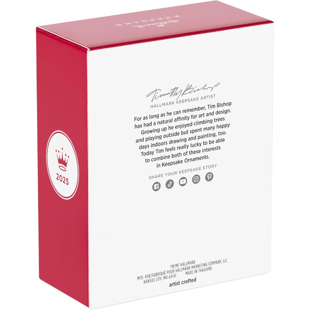 Mirror of Erised Harry Potter and the Sorcerer's Stone 2025 Keepsake Ornament