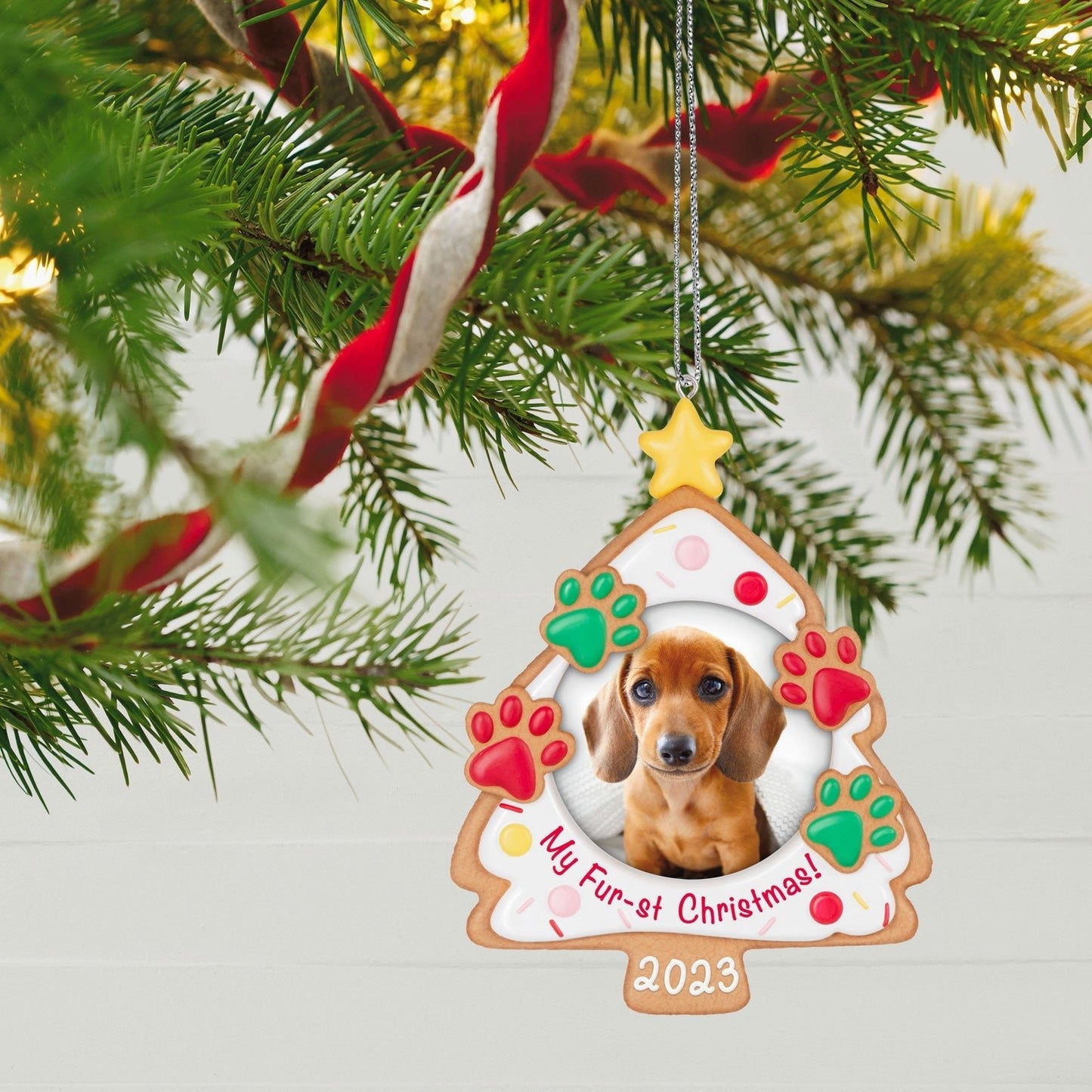 My Fur st Christmas 2023 Photo Frame, 2023 Keepsake Ornament