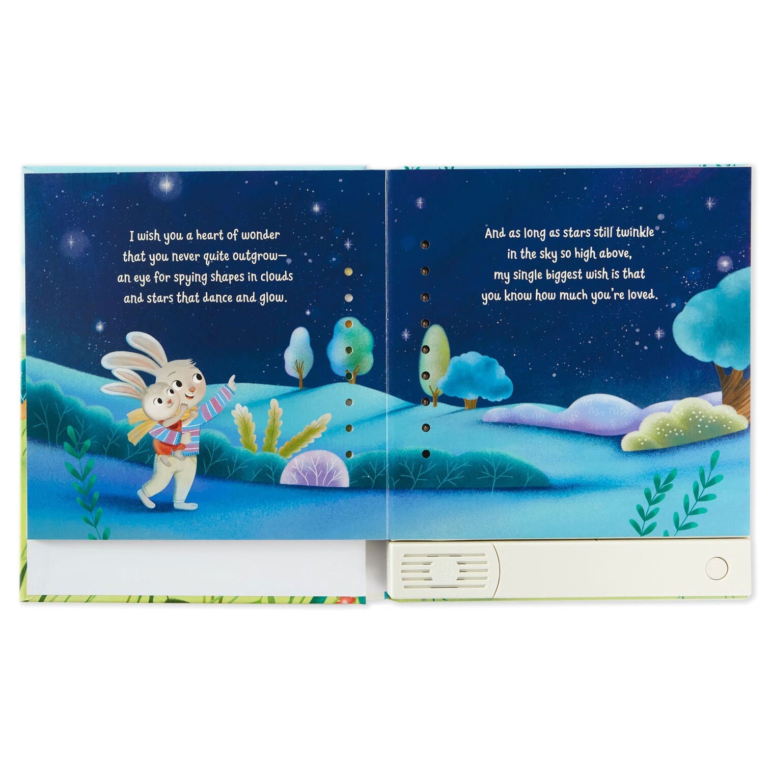 My Wish For You Recordable Storybook