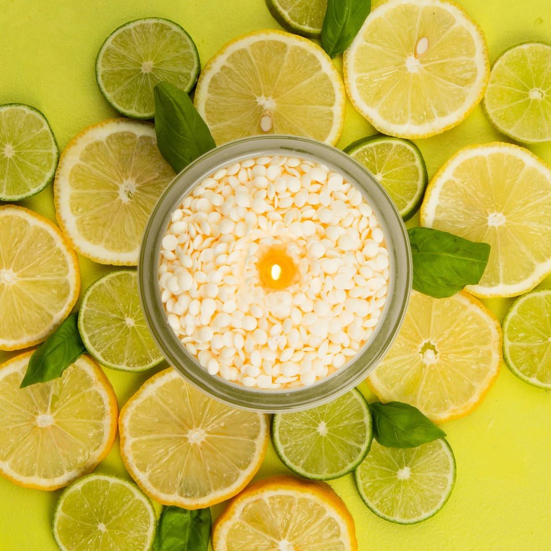 Notes Candle Refill Kit - Citrus & Fresh Basil