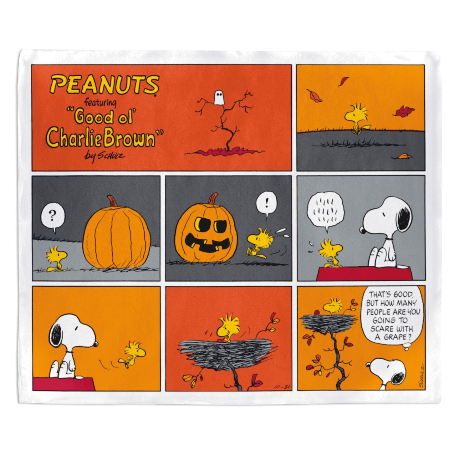 Peanuts Snoopy and Woodstock Comic Strip Fall Throw Blanket 50x60 Celebrations Cards Gifts