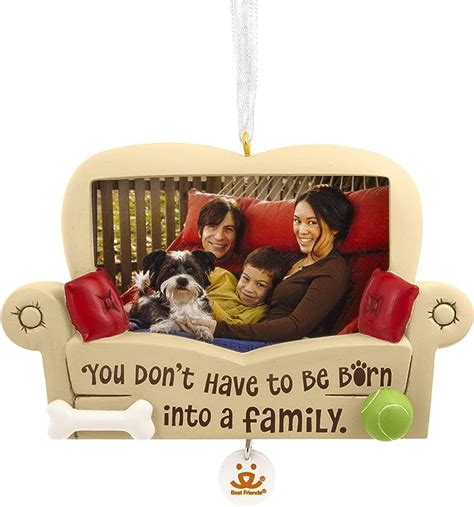 Pets Adopted Family Couch Picture Frame Hallmark Ornament