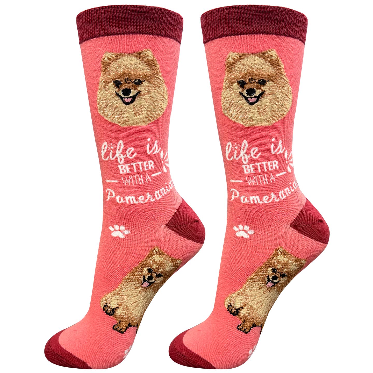 Pomeranian Socks