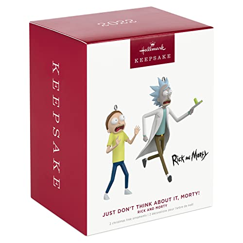 Rick and Morty Just Don't Think About It, Morty! Set of 2, 2022 Hallmark Keepsake Ornament