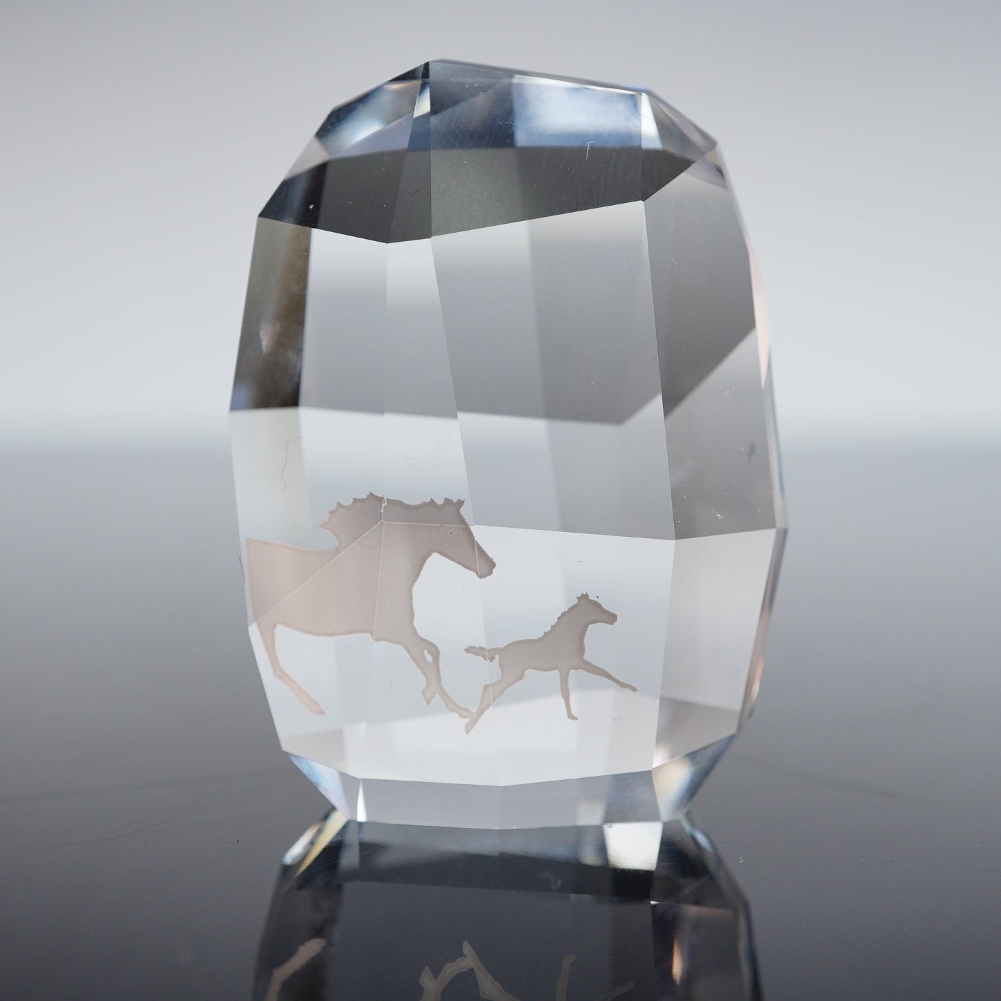Swarovki New SCS Paper Weight