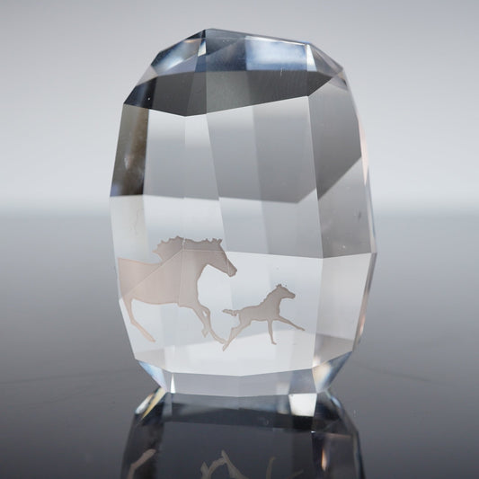 Swarovki New SCS Paper Weight