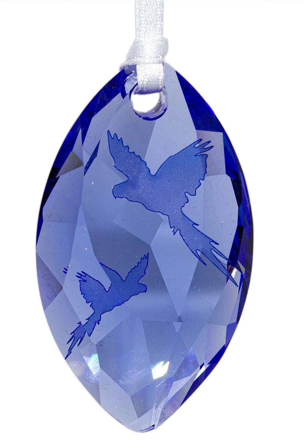 Swarovski 2014 SCS HYAZINTH MACAW EVENT WINDOW ORNAMENTBRAND NEW 5081456