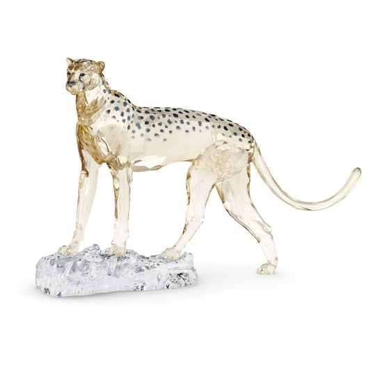 Swarovski 2023 Elegance of Africa SCS Annual Edition Cheetah Mehira