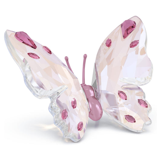 Swarovski Idyllia Butterfly Small