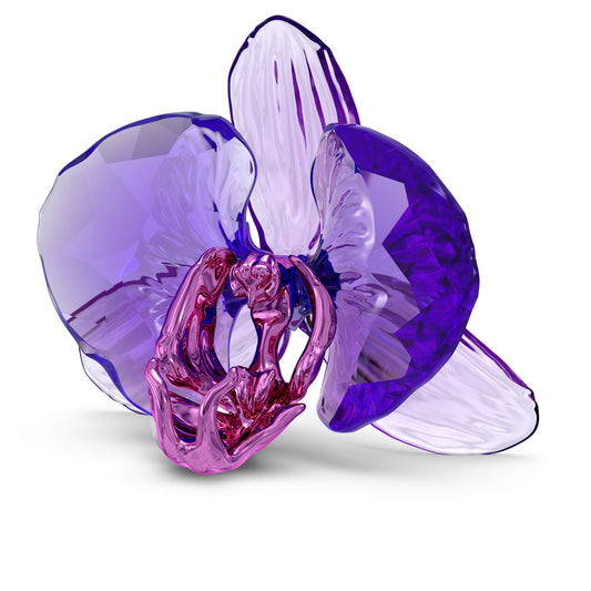 Swarovski Idyllia SCS Orchid Petal