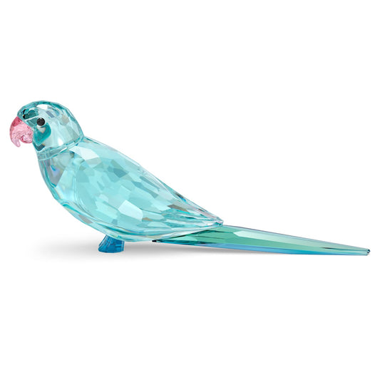 Swarovski Jungle Beats Blue Parakeet Paco