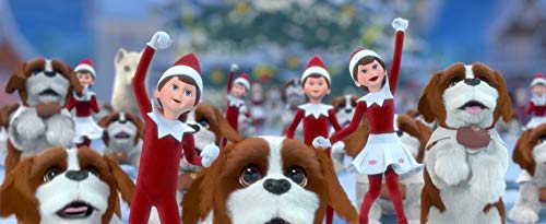 The Elf on the Shelf - Santa's St. Bernards Save Christmas DVD