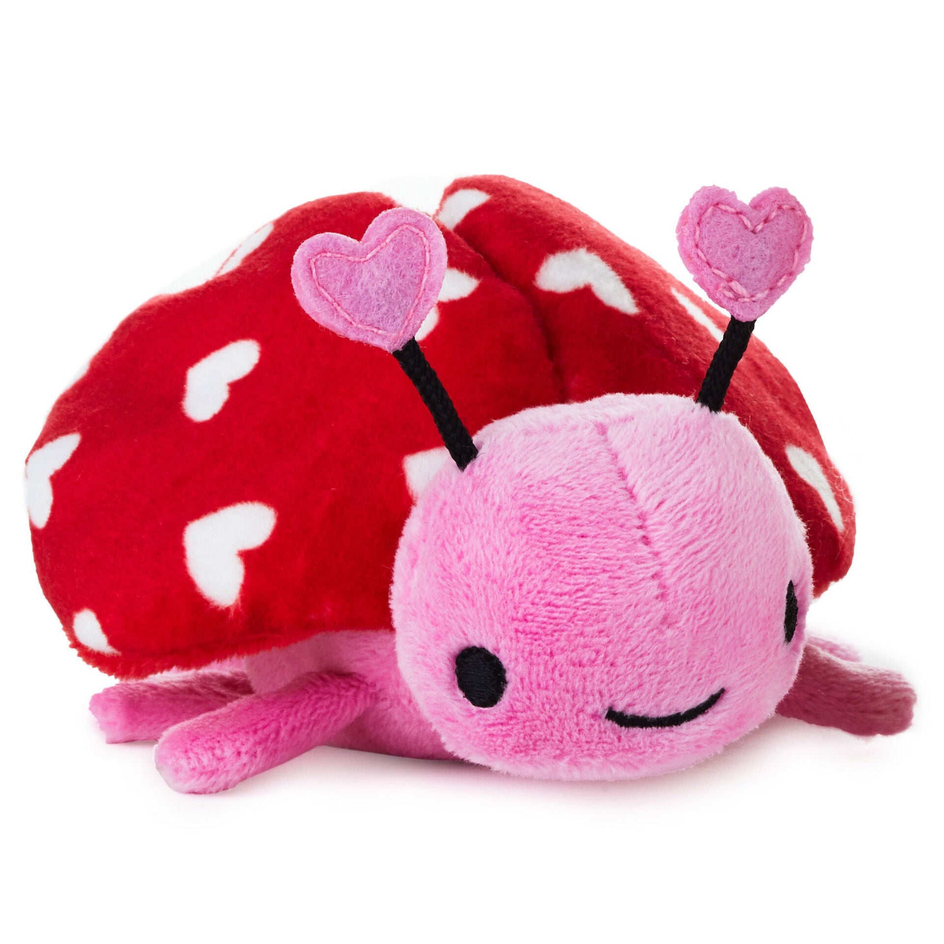 Zip-Along Ladybug Plush Toy – Celebrations Cards & Gifts