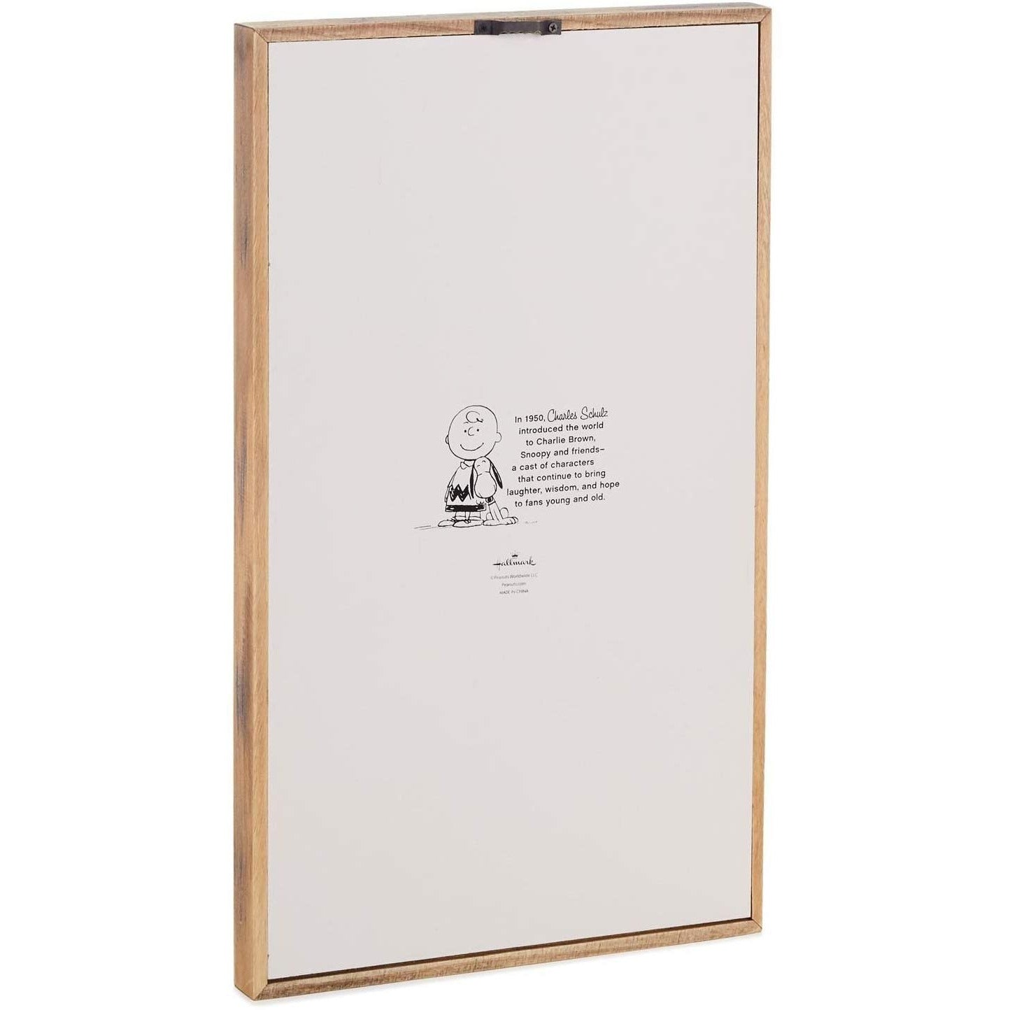 Hallmark Peanuts A Charlie Brown Christmas Linus' Speech Wood Sign Art Religious