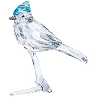 SWAROVSKI Feathered Beauties Blue Jay Crystal Figurine