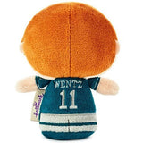 Hallmark Itty Bitty NFL Player Carson Wentz