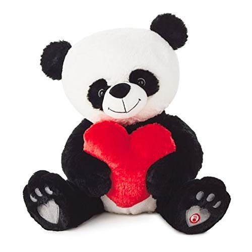 Hallmark 1LPR1311 Bear Hugs Panda Cub Musical Stuffed Animal, 11"