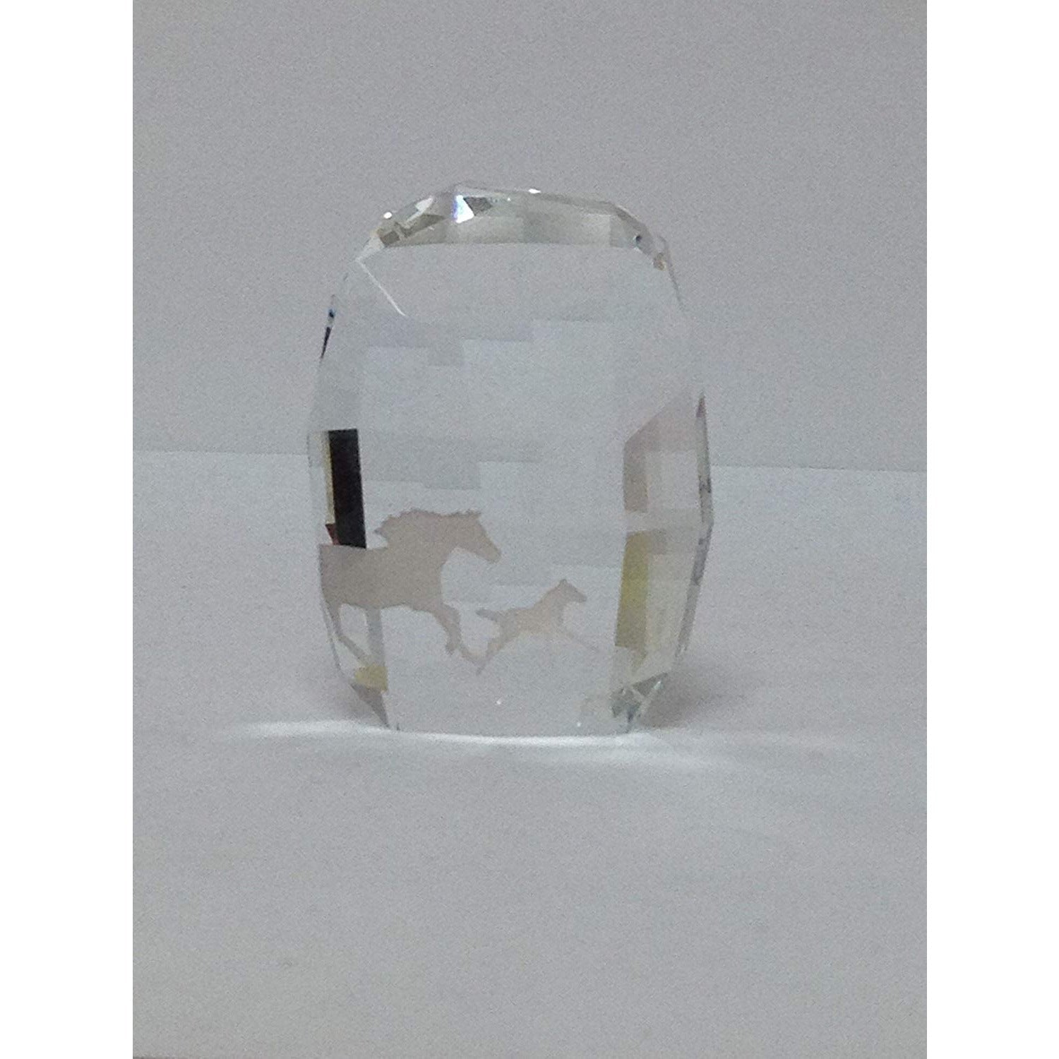 Swarovki New SCS Paper Weight